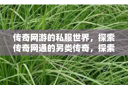 传奇网游的私服世界,探索传奇网通的另类传奇,探索传奇网通的另类传奇,私服世界中的无限可能 传奇网游的私服世界,探索传奇网通的另类传奇,探索传奇网通的另类传奇,私服世界中的无限可能