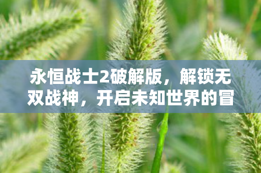永恒战士2破解版,解锁无双战神,开启未知世界的冒险之旅 永恒战士2破解版,解锁无双战神,开启未知世界的冒险之旅