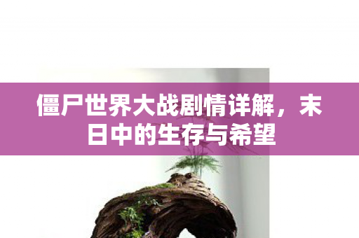 僵尸世界大战剧情详解,末日中的生存与希望 僵尸世界大战剧情详解,末日中的生存与希望