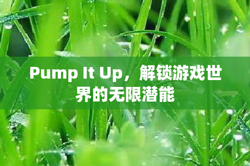 Pump It Up,解锁游戏世界的无限潜能 Pump It Up,解锁游戏世界的无限潜能