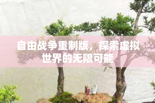 自由战争重制版,探索虚拟世界的无限可能 自由战争重制版,探索虚拟世界的无限可能