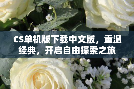 CS单机版下载中文版,重温经典,开启自由探索之旅 CS单机版下载中文版,重温经典,开启自由探索之旅