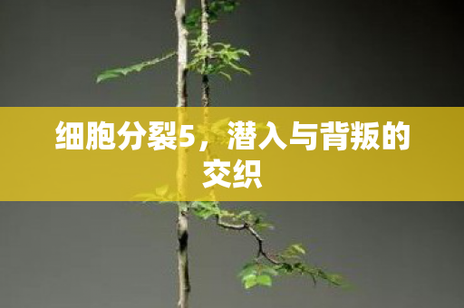 细胞分裂5,潜入与背叛的交织 细胞分裂5,潜入与背叛的交织