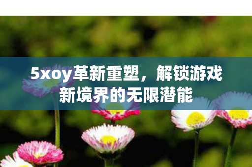 5xoy革新重塑,解锁游戏新境界的无限潜能 5xoy革新重塑,解锁游戏新境界的无限潜能