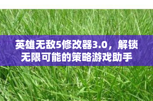 英雄无敌5修改器3.0,解锁无限可能的策略游戏助手 英雄无敌5修改器3.0,解锁无限可能的策略游戏助手