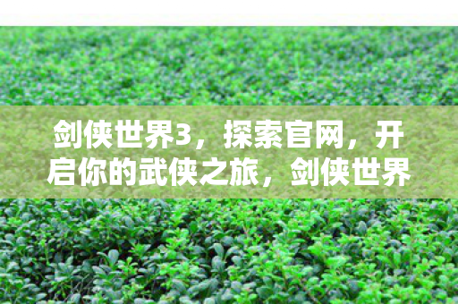 开启你的武侠之旅图片