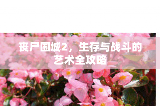 丧尸围城2,生存与战斗的艺术全攻略 丧尸围城2,生存与战斗的艺术全攻略