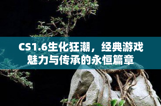 CS1.6生化狂潮，经典游戏魅力与传承的永恒篇章