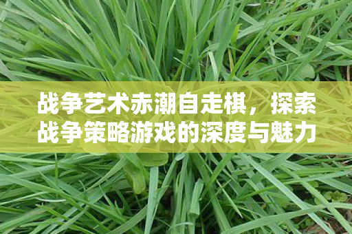 战争艺术赤潮自走棋,探索战争策略游戏的深度与魅力 战争艺术赤潮自走棋,探索战争策略游戏的深度与魅力