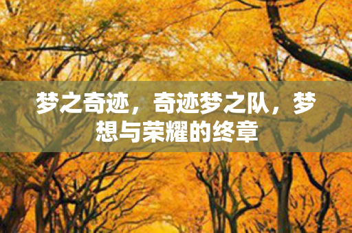梦想与荣耀的终章图片