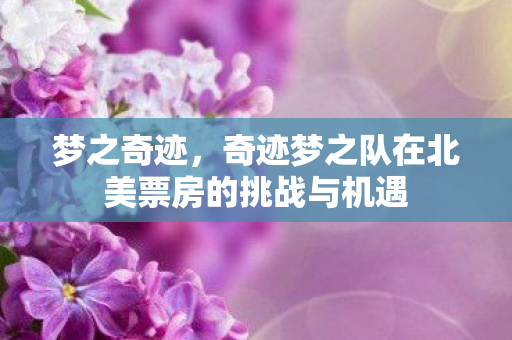 奇迹梦之队在北美票房的挑战与机遇图片