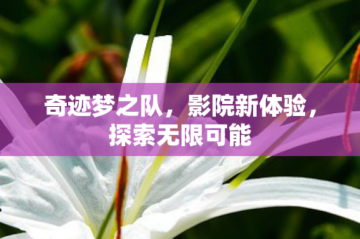 探索无限可能图片
