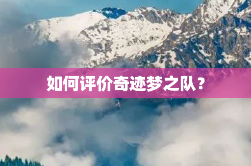 如何评价奇迹梦之队图片