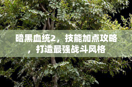 暗黑血统2,技能加点攻略,打造最强战斗风格 暗黑血统2,技能加点攻略,打造最强战斗风格