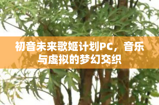 初音未来歌姬计划PC,音乐与虚拟的梦幻交织 初音未来歌姬计划PC,音乐与虚拟的梦幻交织