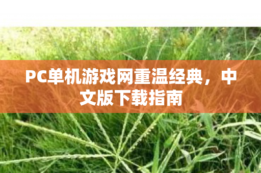 PC单机游戏网重温经典图片