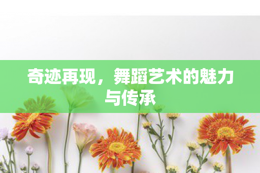 舞蹈艺术的魅力与传承图片