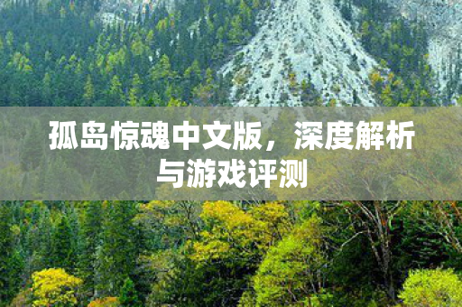 孤岛惊魂中文版，深度解析与游戏评测