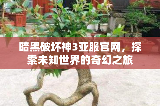 暗黑破坏神3亚服官网，探索未知世界的奇幻之旅