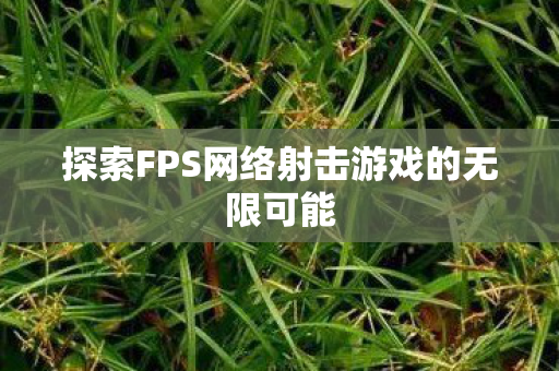 探索FPS网络射击游戏的无限可能 探索FPS网络射击游戏的无限可能
