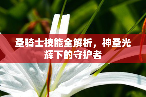 圣骑士技能全解析,神圣光辉下的守护者 圣骑士技能全解析,神圣光辉下的守护者