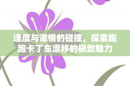 探索跑跑卡丁车漂移的极致魅力图片