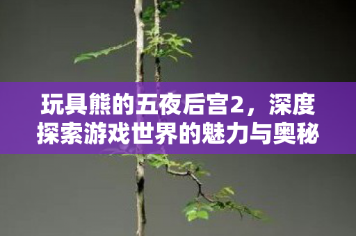 深度探索游戏世界的魅力与奥秘图片