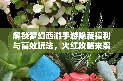 解锁梦幻西游手游隐藏福利与高效玩法图片
