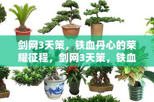 铁血丹心的荣耀征程图片