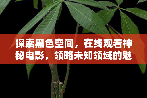 领略未知领域的魅力图片