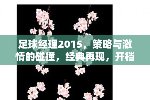 足球经理2015,策略与激情的碰撞,经典再现,开档必签! 足球经理2015,策略与激情的碰撞,经典再现,开档必签!