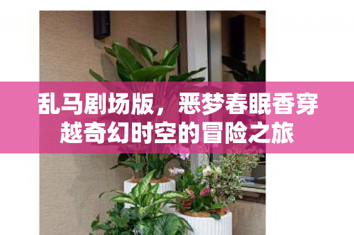 乱马剧场版，恶梦春眠香穿越奇幻时空的冒险之旅