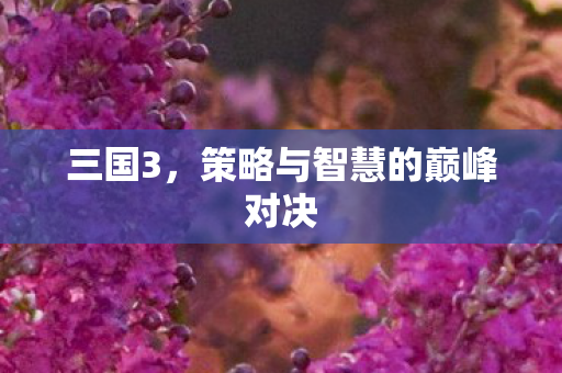 三国3，策略与智慧的巅峰对决