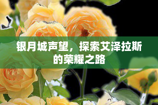 银月城声望,探索艾泽拉斯的荣耀之路 银月城声望,探索艾泽拉斯的荣耀之路