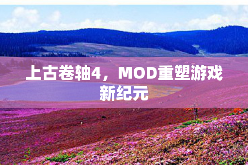 上古卷轴4,MOD重塑游戏新纪元 上古卷轴4,MOD重塑游戏新纪元