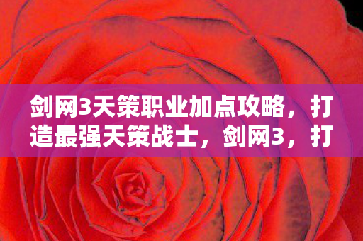 剑网3天策职业加点攻略图片