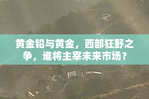 谁将主宰未来市场图片
