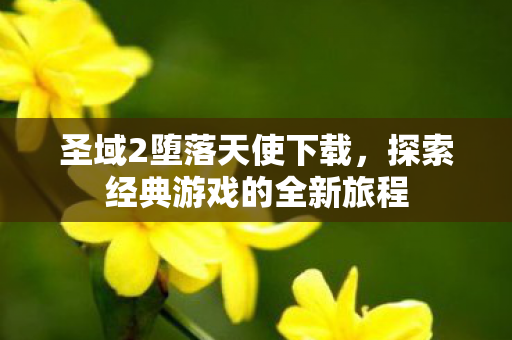 圣域2堕落天使下载,探索经典游戏的全新旅程 圣域2堕落天使下载,探索经典游戏的全新旅程