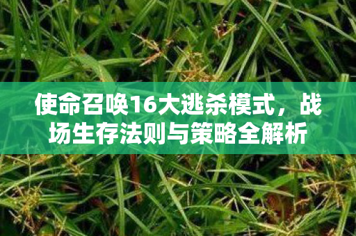 使命召唤16大逃杀模式,战场生存法则与策略全解析 使命召唤16大逃杀模式,战场生存法则与策略全解析