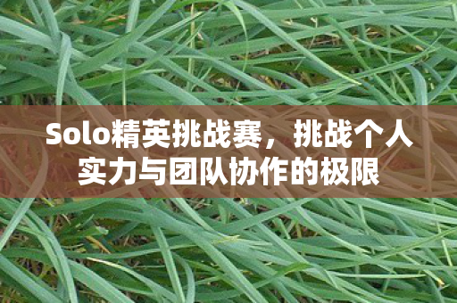 Solo精英挑战赛,挑战个人实力与团队协作的极限 Solo精英挑战赛,挑战个人实力与团队协作的极限