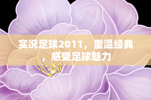 实况足球2011,重温经典,感受足球魅力 实况足球2011,重温经典,感受足球魅力