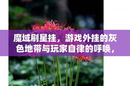 游戏外挂的灰色地带与玩家自律的呼唤图片