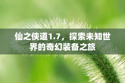 仙之侠道1.7，探索未知世界的奇幻装备之旅