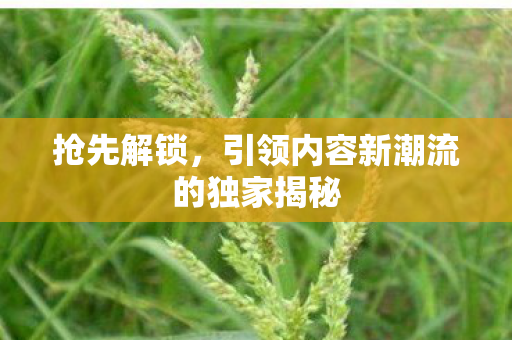 抢先解锁，引领内容新潮流的独家揭秘