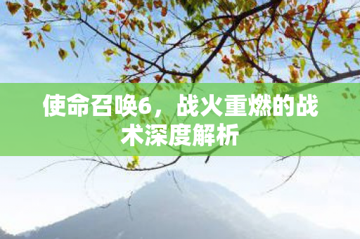 使命召唤6，战火重燃的战术深度解析