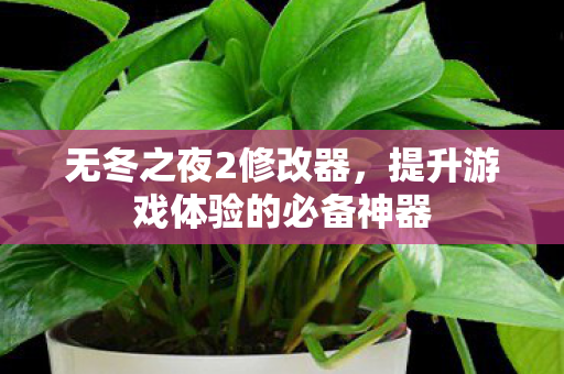无冬之夜2修改器，提升游戏体验的必备神器