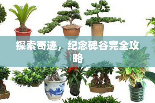 纪念碑谷完全攻略图片