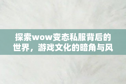 揭秘wow变态私服背后的风险与游戏文化暗角图片