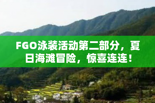 FGO泳装活动第二部分图片