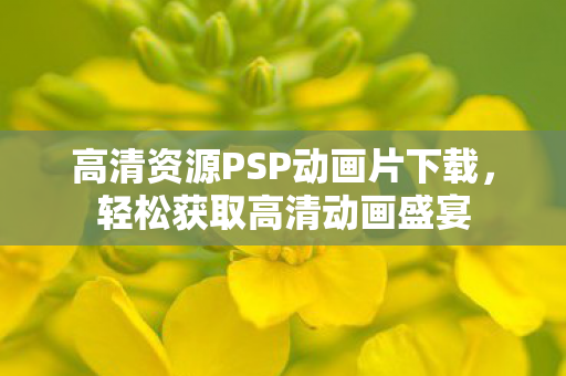 高清资源PSP动画片下载图片